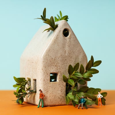 Homes suitable for an electric boiler_eco home