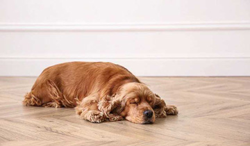 The best underfloor heating for wooden floors